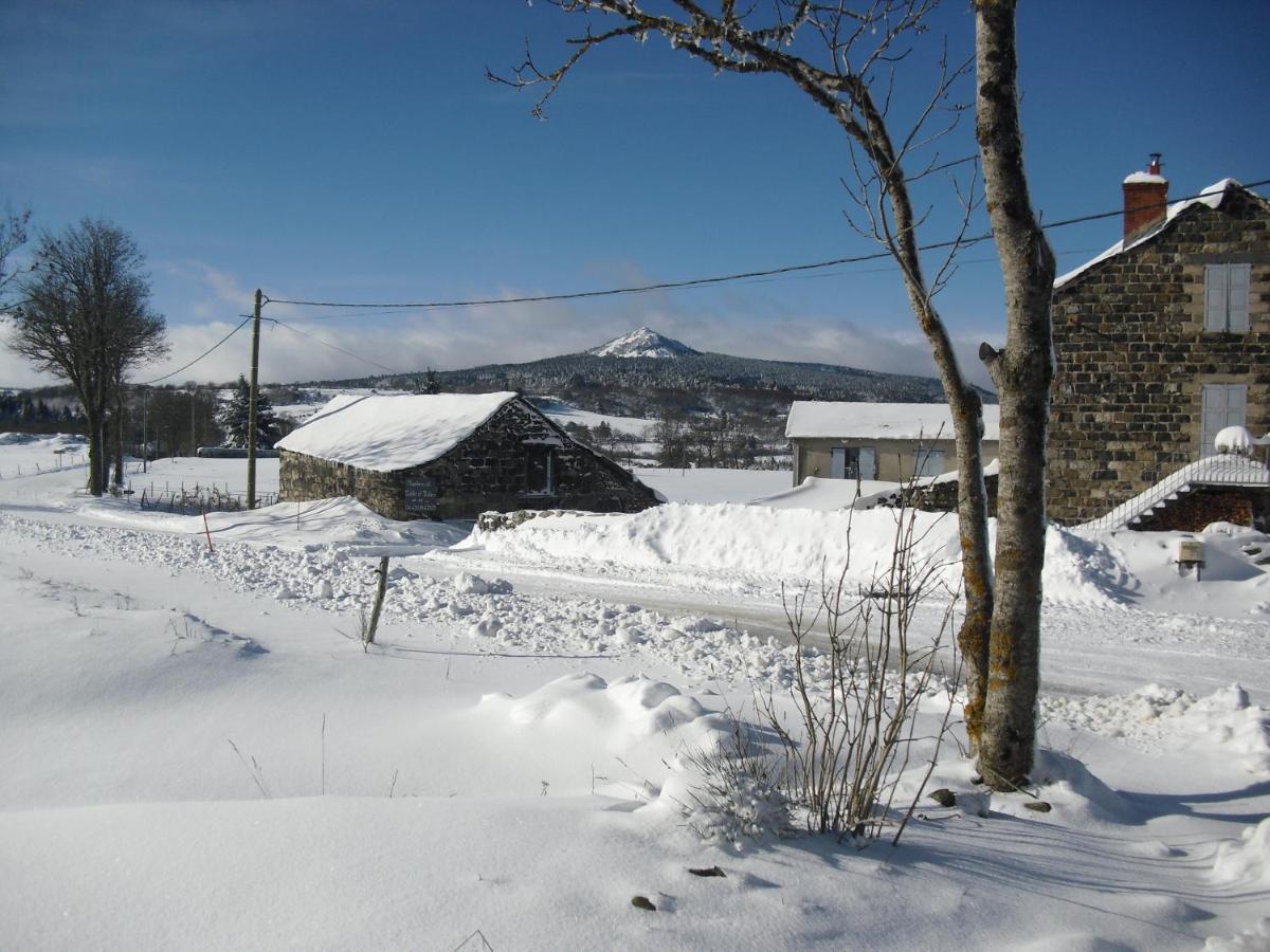 La Ferme De Madelonnet Bed & Breakfast Saint-Jeures Luaran gambar