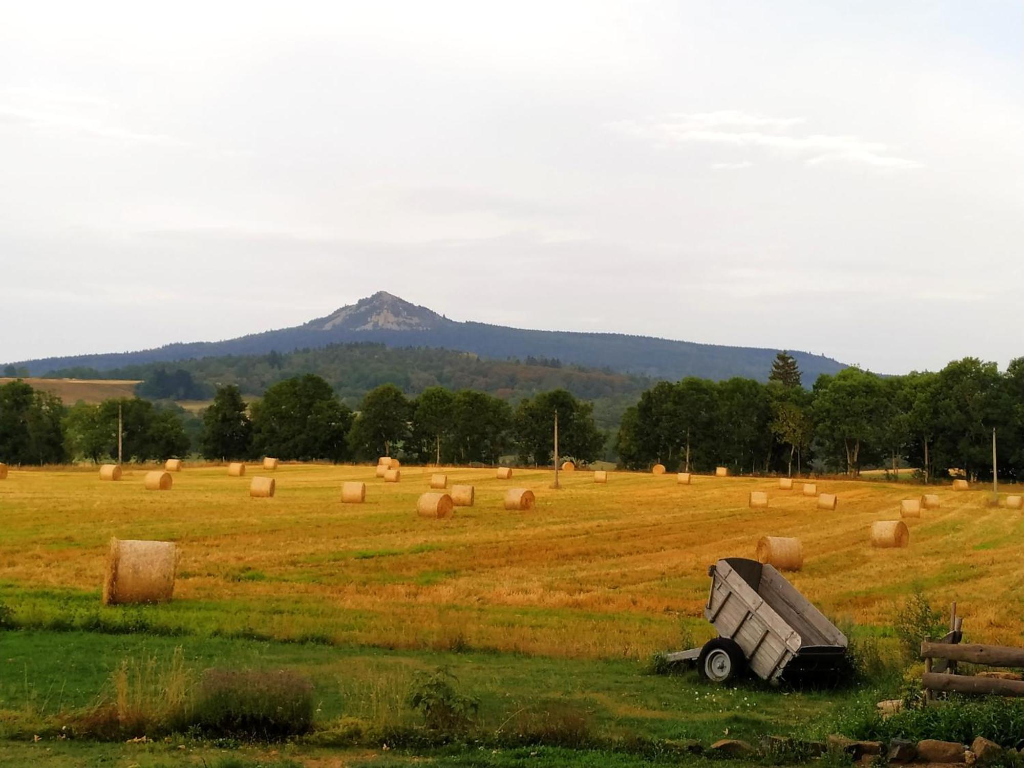 La Ferme De Madelonnet Bed & Breakfast Saint-Jeures Luaran gambar